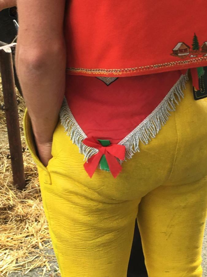 Bnb Chezlise Urnäsch Zewnętrze zdjęcie